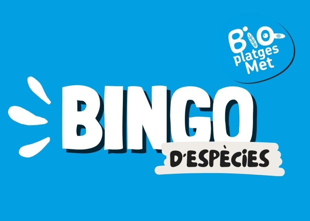 Bingo_especies